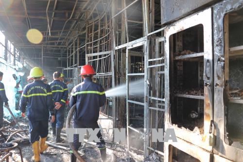 Cháy cơ sở sản xuất sâm ngọc linh ở khu vực hồ Tuyền Lâm, thành phố Đà Lạt ảnh 1